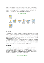 모바일 상거래의 성장배경과 제한요소, 모바일상거래 사례-7