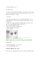 아동미술의 발달단계-4