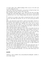[인터넷활용교육][인터넷활용수업][인터넷활용학습]인터넷활용교육(인터넷활용수업,인터넷활용학습)성격,교수학습유형,장점,방법,유의사항,발전방향-11