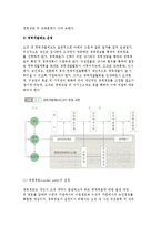 경력개발제도(CDP)의 운영과 구성체계, 경력개발제도와 승진관리-4
