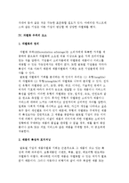 글로벌 경영전략의 성공적 조건-11