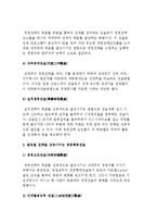 글로벌 경영전략의 형태-9