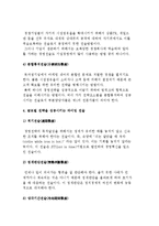 글로벌 경영전략의 형태-11
