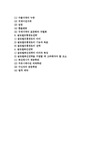 글로벌마케팅의 특성과 전략, 글로벌마케팅믹스전략-2