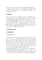 글로벌마케팅의 특성과 전략, 글로벌마케팅믹스전략-4