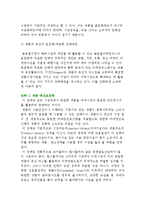 글로벌마케팅의 특성과 전략, 글로벌마케팅믹스전략-5