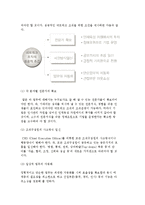 네트워크 조직의 의의와 특징 및 도입배경, 네트워크조직 유형-8