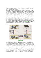인터넷 쇼핑몰 창업 과정, 절차-10