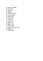 CEO의 본질(개념, 기능, 역할) 및 CEO 자질과 조건, 특성-2