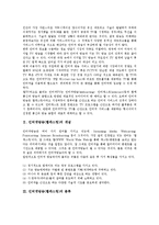 [인터넷방송][웹캐스팅]인터넷방송(웹캐스팅)의 개념,분류,성격,구조, 인터넷방송(웹캐스팅)의 가치사슬,전망,기존방송과의 차이,육성방안-3
