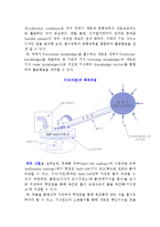 기술능력, 흡수능력, 변형능력-6