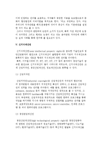 지식재산권의 개념과 배경, 특성과 유형(산업재산권, 저작권, 신지식재산권)-7
