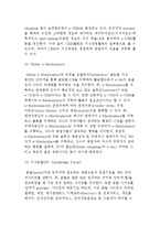 [e-비즈니스와 지식경영] e-SCM, e-CRM, 글로벌 e-마켓플레이스, 지식포탈-7