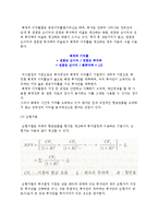 기술프로젝트 평가의 개념과 방법-8