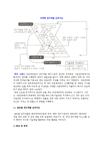 연구개발 조직구조의 유형-13