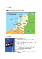 [해외투자론] 네덜란드 해외직접투자 FDI-4