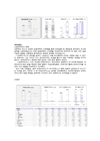 [경영학] 금융기관 우리투자증권의 글로벌 IB를 위한 발전 전략-6