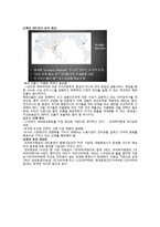 [경영학] 금융기관 우리투자증권의 글로벌 IB를 위한 발전 전략-11