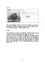 [여행사 경영론] 국내 섬을 테마로 한 여행사 사업계획서-7