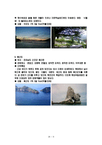 [여행사 경영론] 국내 섬을 테마로 한 여행사 사업계획서-10