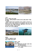 [여행사 경영론] 국내 섬을 테마로 한 여행사 사업계획서-12