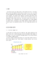 [비교경영론] 현대 자동차와 타타 자동차의 인도시장 비교 분석-3