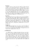 [경영학원론] 이마트의 경영전략-월마트와 비교 중심-13