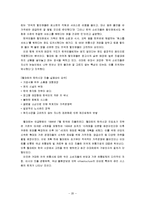 [경영학원론] 이마트의 경영전략-월마트와 비교 중심-20
