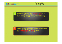 [관광경영전략] 항공사의 내,외부환경분석을 통한 사업부 전략 방안 연구-진에어(Jin Air) 항공사 사례-4