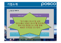 [경영학원론] 포스코의 경영전략 특징-5