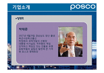 [경영학원론] 포스코의 경영전략 특징-8