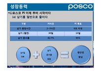 [경영학원론] 포스코의 경영전략 특징-12