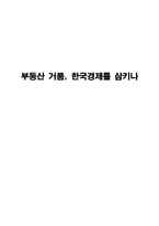 [부동산 경제론] 부동산 거품과 한국경제-1