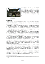 [한국전통문화의 이해] 남한산성의 과거와 현재, 그리고 미래-11