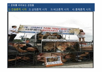 [사회학] 문화의 다양성과 문화민주주의 고찰-8