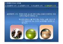[사회학] 문화의 다양성과 문화민주주의 고찰-11