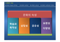 [사회학] 문화의 다양성과 문화민주주의 고찰-12