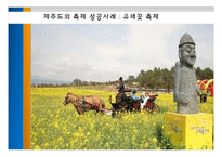 [축제와 문화] 제주도의 지역 축제-13