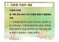 [사회복지] 다문화 가정에 대한 지원 현황 및 문제점과 개선방안-5