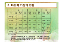 [사회복지] 다문화 가정에 대한 지원 현황 및 문제점과 개선방안-8