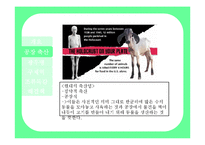 [자연과 환경] 축산산업과 도시문화-광우병, 조류독감, 구제역-7