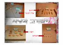한국의 문화유산-암사동 선사 주거지 조사-14