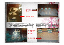 한국의 문화유산-암사동 선사 주거지 조사-15