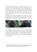 [영상사회학] 대항문화로서의 하위문화의 분석-영화 `테이킹 우드스탁` 과 `트레인스포팅`을 통한 대항문화 분석-9