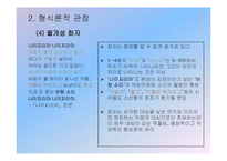 [현대시 문학] M.H.에이브럼스의 4가지 관점을 통한 `김춘수`의 시 분석-18