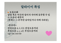[중국어학개론] 한국어의 기원-알타이어 VS 비알타이어-4