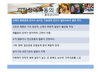 [특수체육교육] 다운증후군아동의 평형성 향상 프로그램-10