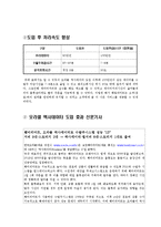 [경영정보] 기존 IS의 문제점에 대한 보고서-11