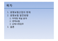 생명보험 발전전략-2