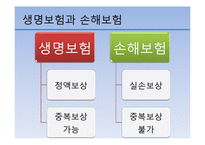 생명보험 발전전략-15